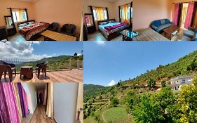 Dunagiri Homestay